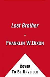 Lost Brother: Book Two in the Lost Mystery Trilogy (Paperback)