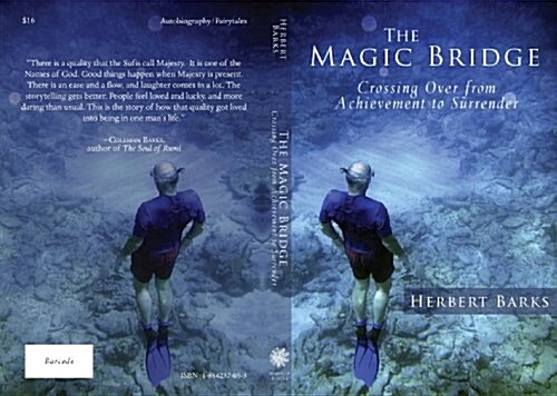 The Magic Bridge (Paperback)