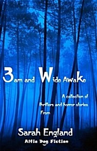 3am and Wide Awake (Paperback)