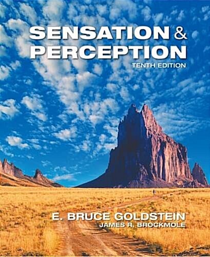 [중고] Sensation and Perception (Hardcover, 10)