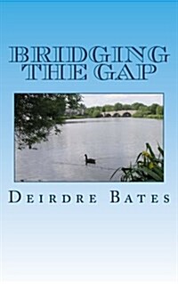 Bridging the Gap (Paperback)