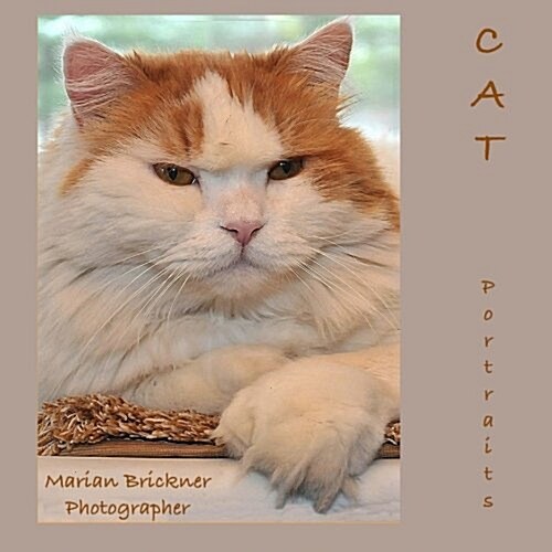 Cat Portraits (Paperback)