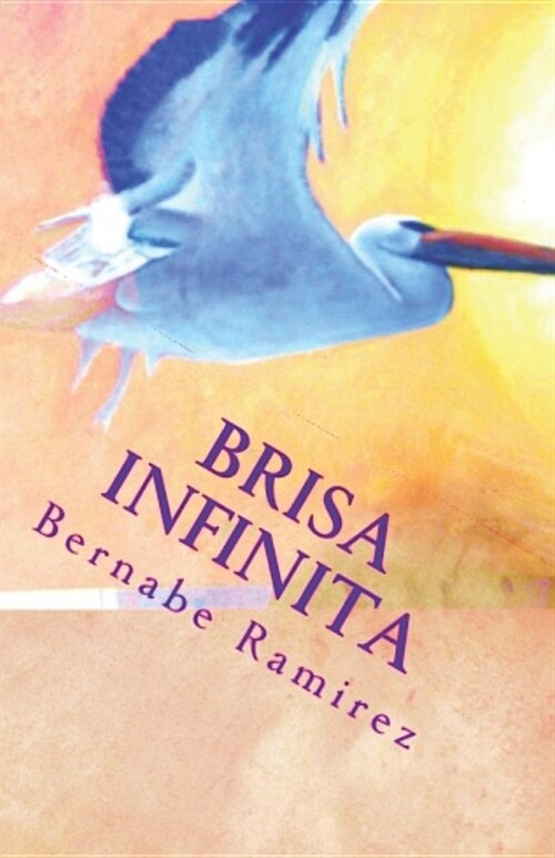 Brisa Infinita (Paperback)