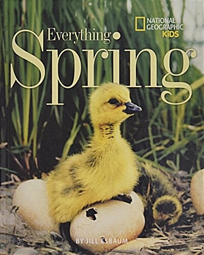 Everything Spring (Prebound)