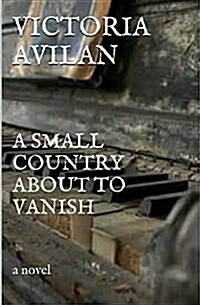 A Small Country about to Vanish (Paperback)