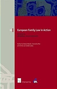 European Family Law in Action. Volume V - Informal Relationships (Paperback)