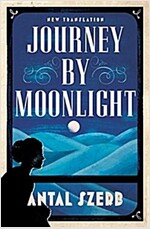 Journey by Moonlight (Paperback)