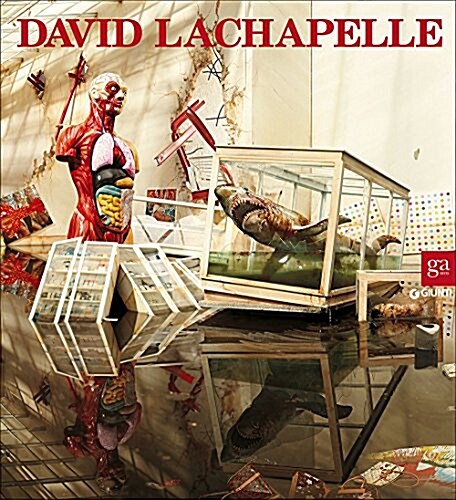 DAVID LACHAPELLE AFTER THE DELUGE (Hardcover)