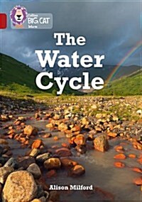 The Water Cycle : Band 14/Ruby (Paperback)