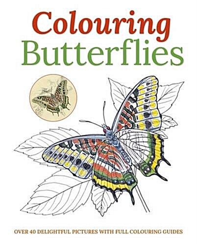 Colouring Butterflies (Paperback)