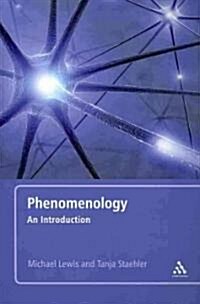 Phenomenology (Paperback)