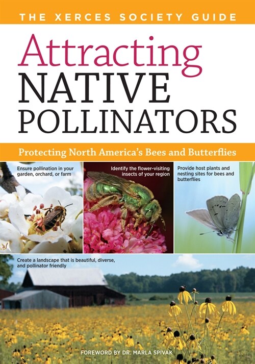 Attracting Native Pollinators : The Xerces Society Guide to Conserving North American Bees and Butterflies and Their Habitat (Paperback)