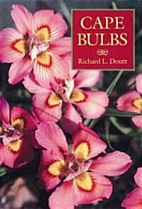 Cape Bulbs (Paperback)