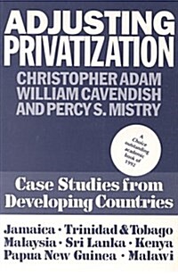 Adjusting Priviatization (Paperback)
