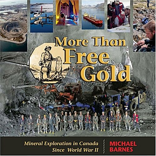 More Than Free Gold (Paperback)