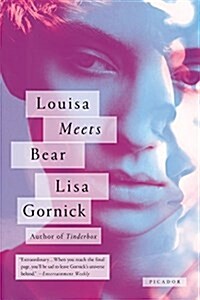 Louisa Meets Bear: Stories (Paperback)