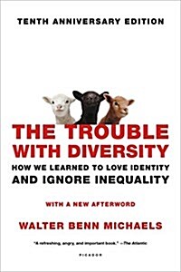 The Trouble with Diversity: How We Learned to Love Identity and Ignore Inequality (Paperback)