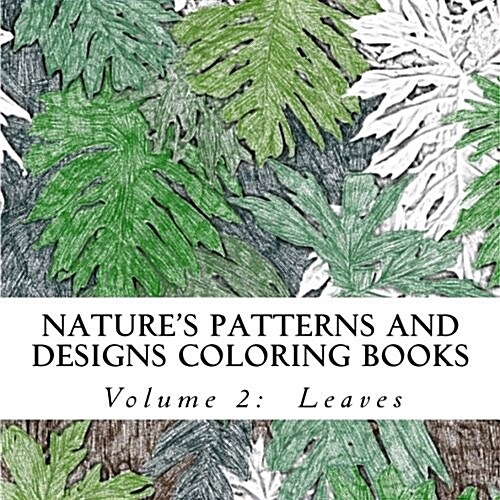 Natures Patterns and Designs (Paperback, CLR)