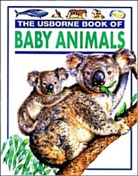 Baby Animals (Young Nature Series) (Paperback)