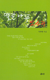 떡갈나무 빗소리 : 박화배 시집