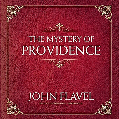 The Mystery of Providence (Audio CD)