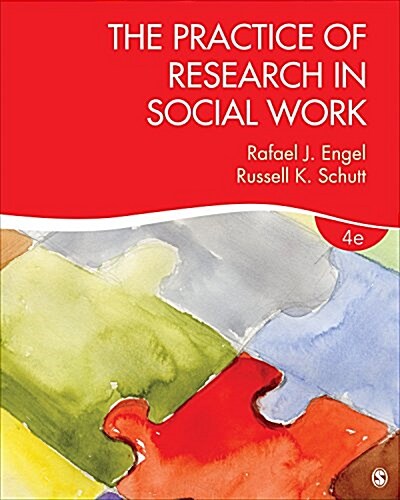 The Practice of Research in Social Work (Paperback)