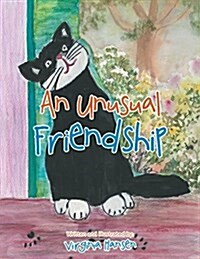 An Unusual Friendship (Paperback)