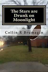 The Stars Are Drunk on Moonlight: Poems 2014 (Paperback)