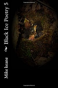 Black Ice Poetry 5 (Paperback)