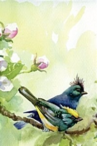 Journal Your Lifes Story: Birds of Spring Watercolor Journal, Lined Journal, Diary Notebook 6 X 9, 180 Pages (Paperback)