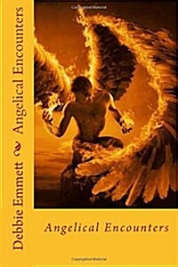 Angelical Encounters (Paperback)