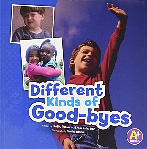 Different Kinds of Good-Byes (Paperback)