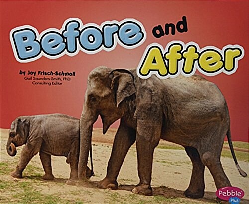 Before and After (Paperback)