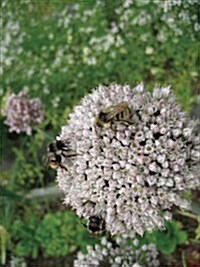 Victory Gardens for Bees: A DIY Guide to Saving the Bees (Paperback)