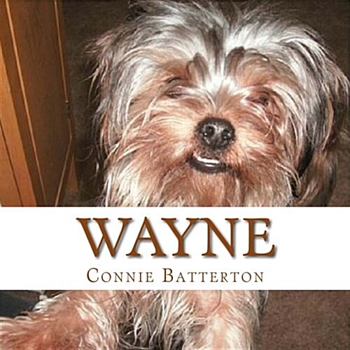 Wayne (Paperback)