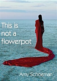 This Is Not a Flowerpot (Paperback)