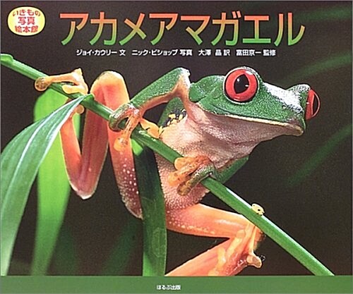 アカメアマガエル (いきもの寫眞繪本館) (大型本)