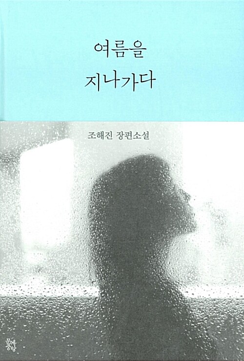 여름을 지나가다