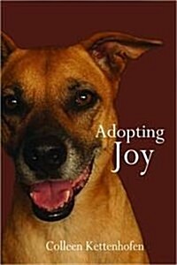 Adopting Joy (Paperback)