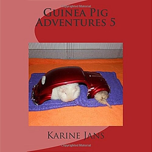 Guinea Pig Adventures (Paperback, 5th)