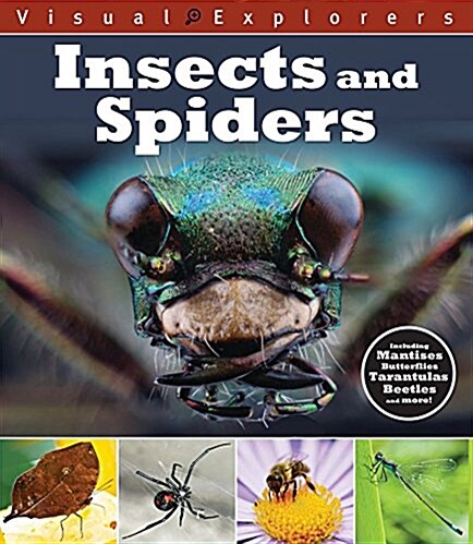 Insects and Spiders (Paperback)