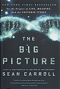 [중고] The Big Picture: On the Origins of Life, Meaning, and the Universe Itself (Hardcover)
