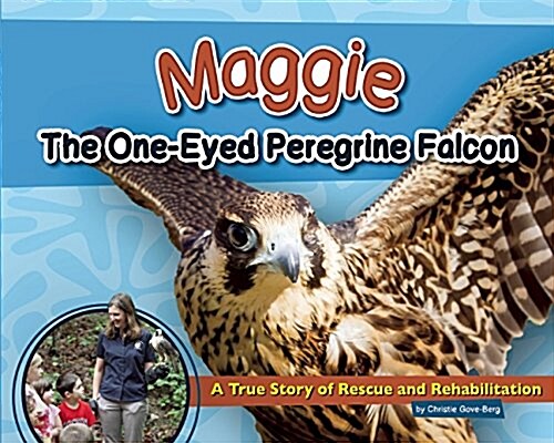 Maggie the One-Eyed Peregrine Falcon: A True Story of Rescue and Rehabilitation (Hardcover)