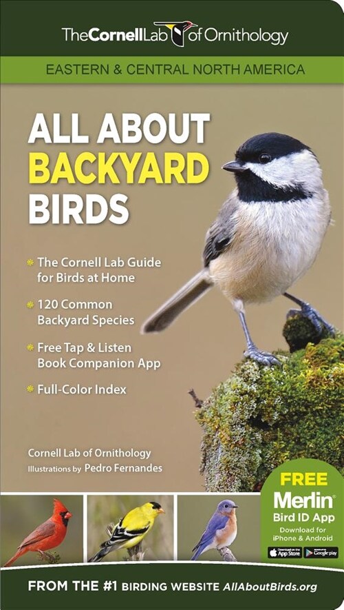 All about Backyard Birds- Eastern & Central North America (Paperback)