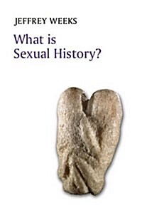 What is Sexual History? (Paperback)