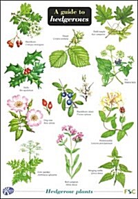 Guide to Hedgerows (Wallchart)