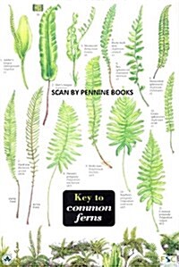 Key to Common Ferns (Other Book Format)