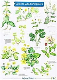 Guide to Woodland Plants (Sheet Map, folded)