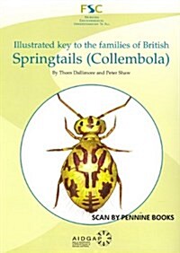 Illustrated Key to the Families of British Springtails (Collembola) (Paperback)