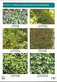 Guide to Mosses and Liverworts of Woodlands (Paperback)